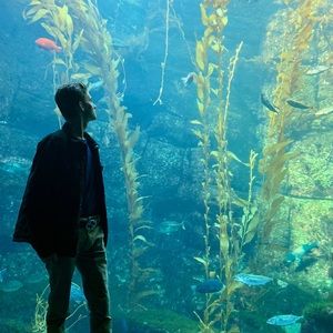 Meet your Posher, Cy